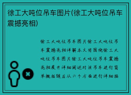 徐工大吨位吊车图片(徐工大吨位吊车震撼亮相)