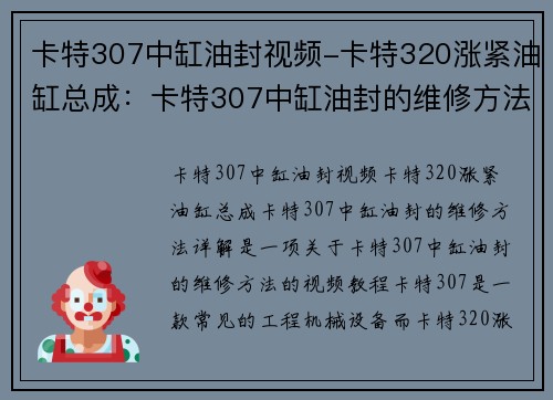 卡特307中缸油封视频-卡特320涨紧油缸总成：卡特307中缸油封的维修方法详解