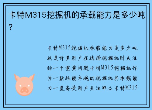 卡特M315挖掘机的承载能力是多少吨？